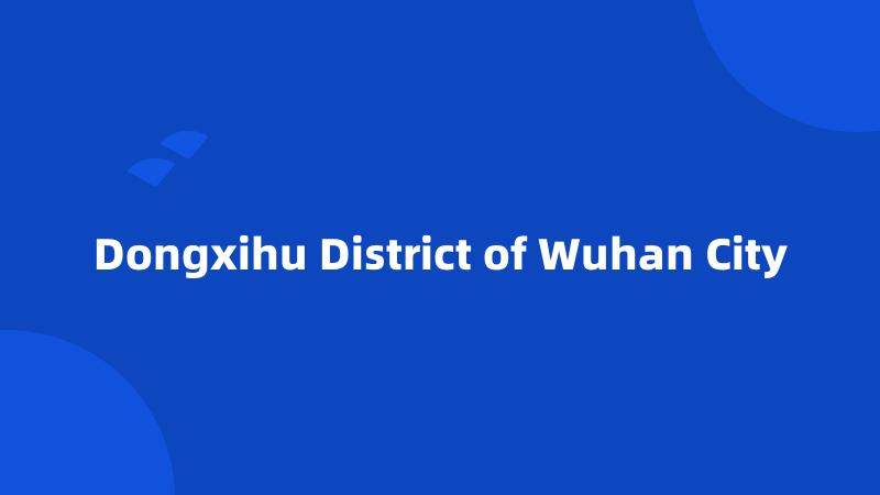 Dongxihu District of Wuhan City