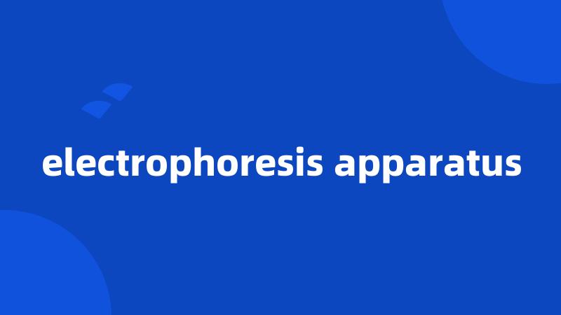 electrophoresis apparatus