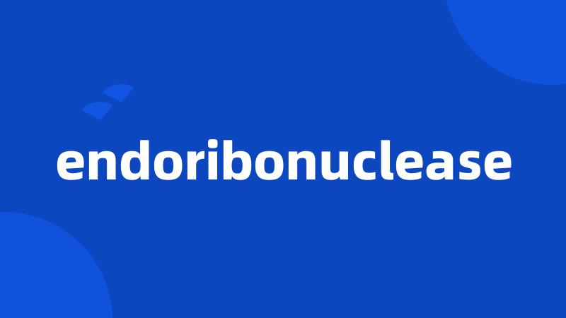 endoribonuclease