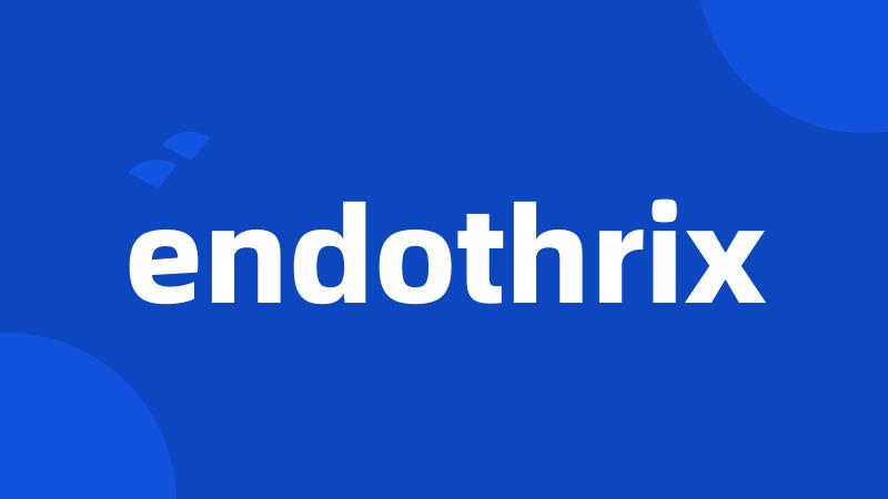 endothrix