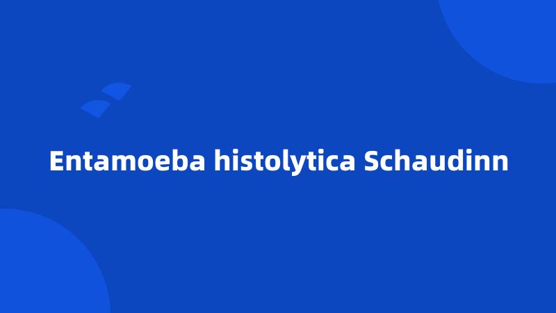 Entamoeba histolytica Schaudinn