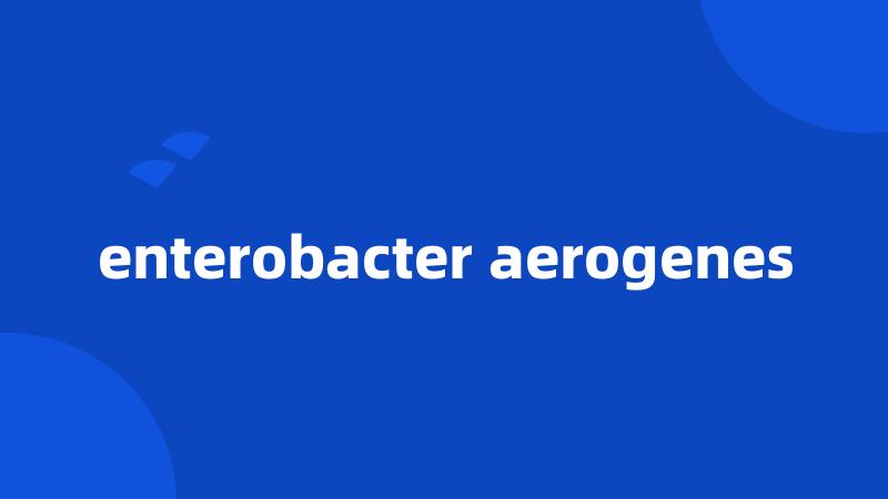 enterobacter aerogenes