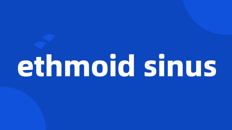 ethmoid sinus