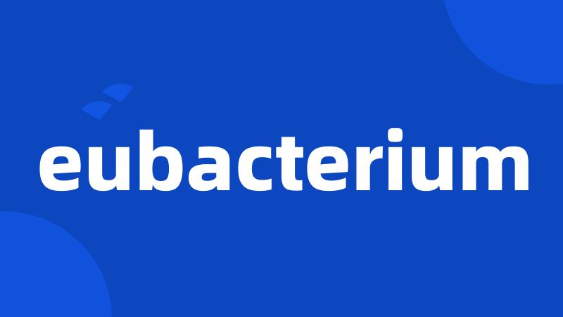 eubacterium