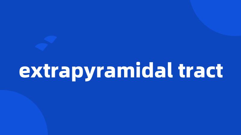 extrapyramidal tract