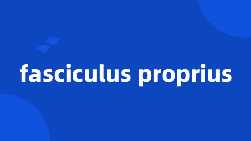 fasciculus proprius