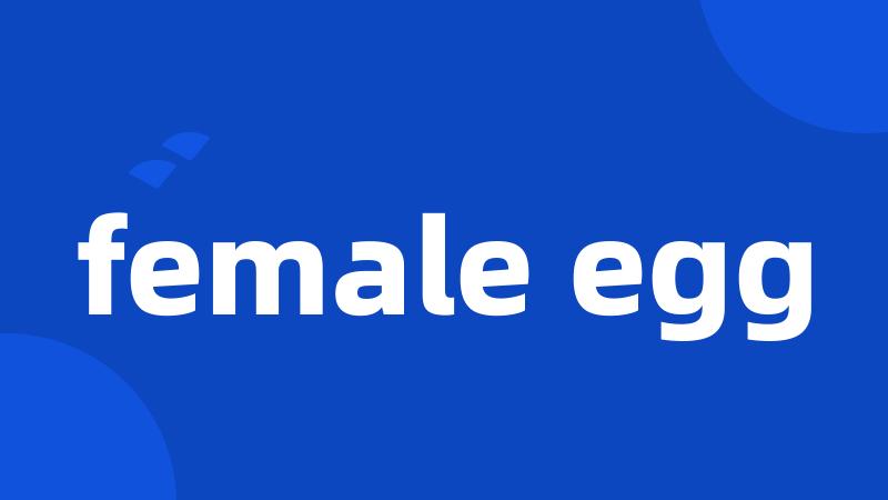 female egg