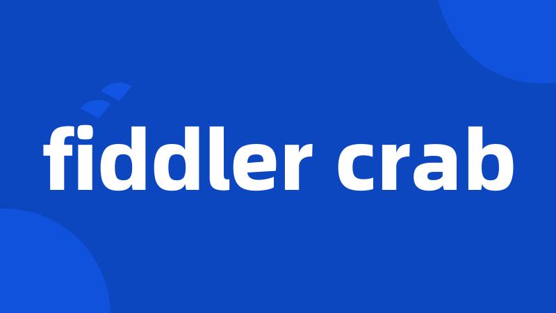 fiddler crab