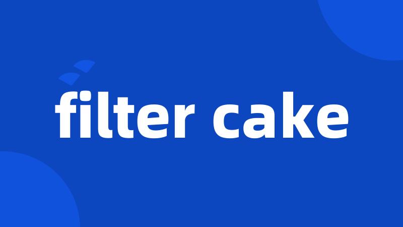 filter cake