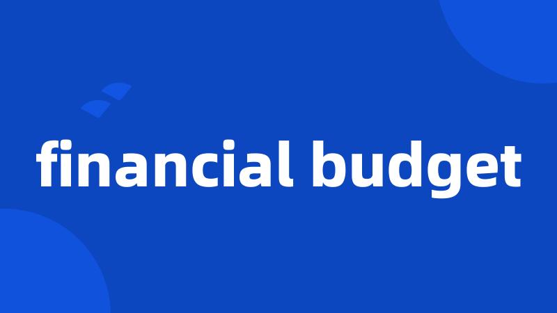 financial budget