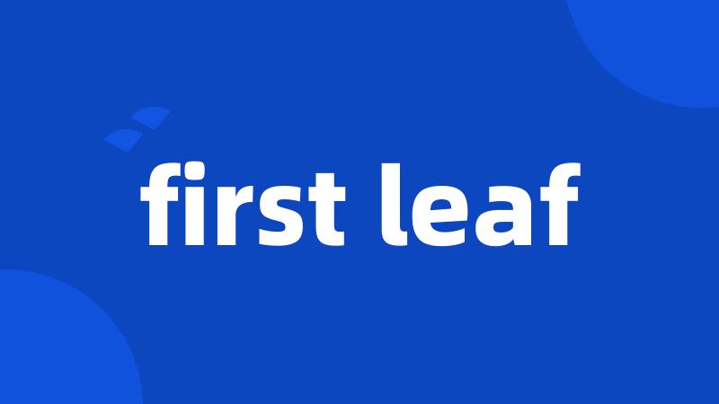 first leaf