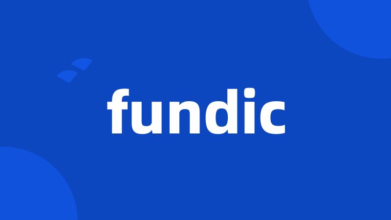 fundic