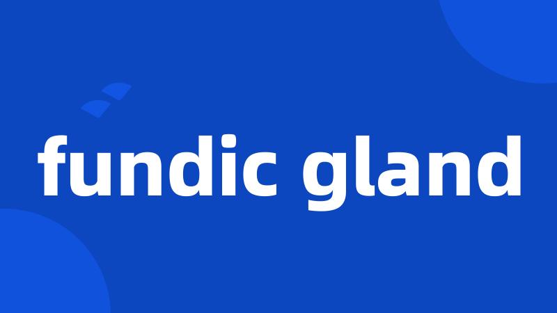 fundic gland