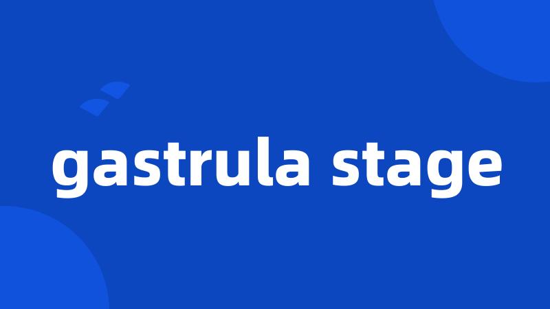 gastrula stage