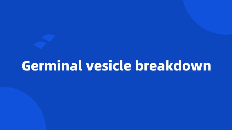 Germinal vesicle breakdown