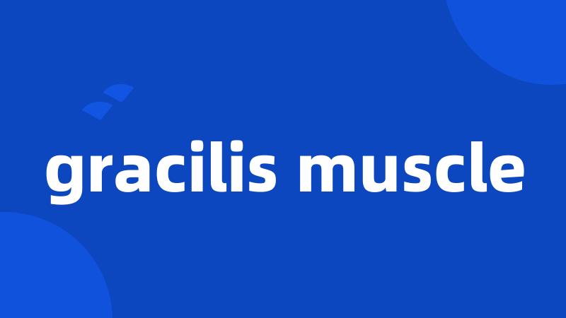 gracilis muscle