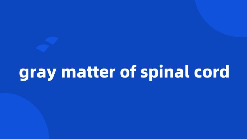 gray matter of spinal cord