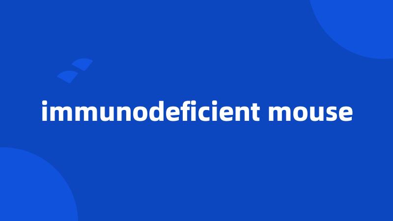 immunodeficient mouse