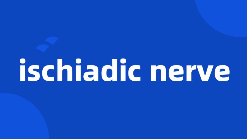 ischiadic nerve