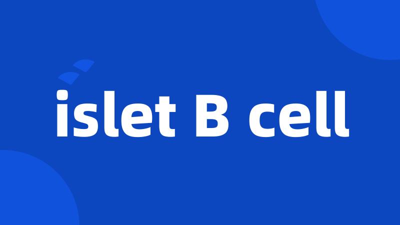 islet B cell