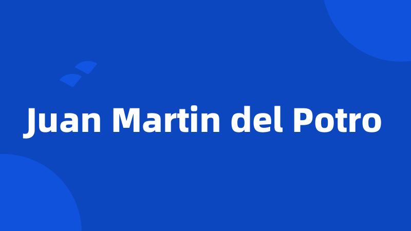 Juan Martin del Potro