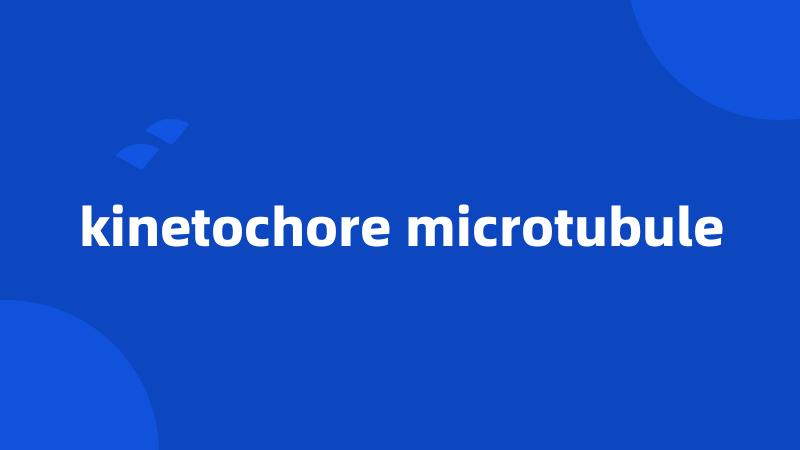 kinetochore microtubule