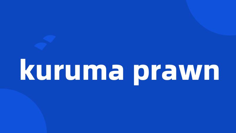 kuruma prawn