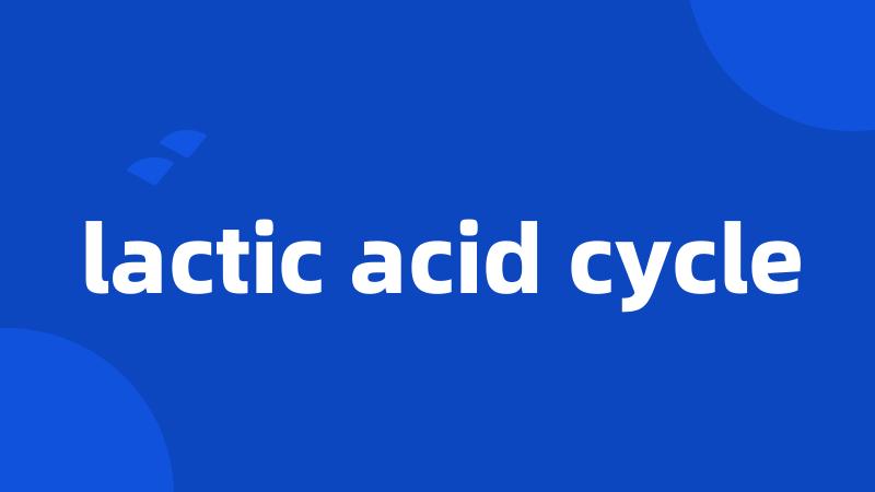 lactic acid cycle