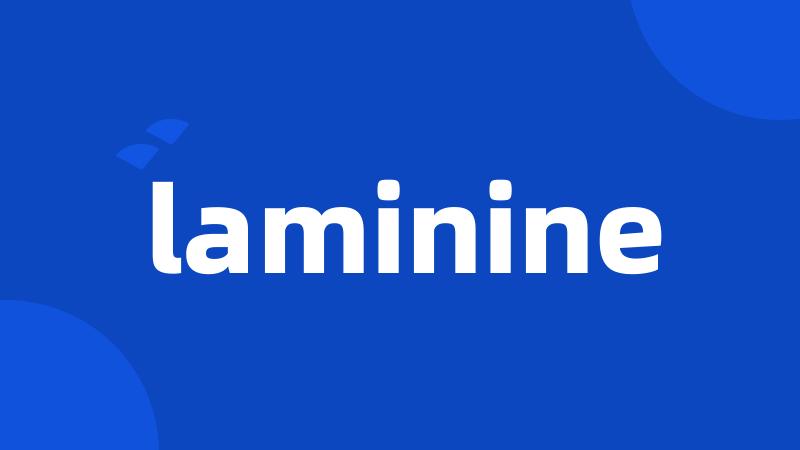 laminine