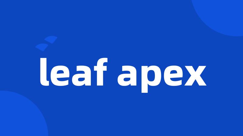 leaf apex