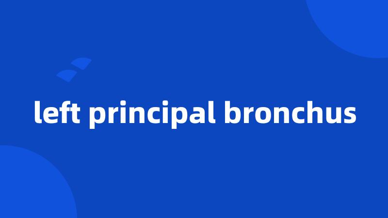 left principal bronchus