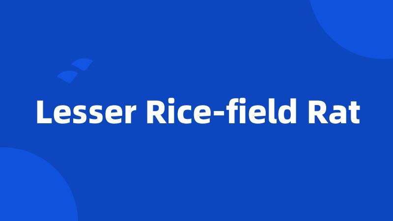 Lesser Rice-field Rat