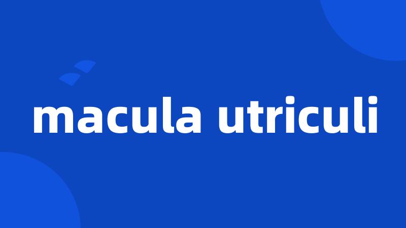 macula utriculi