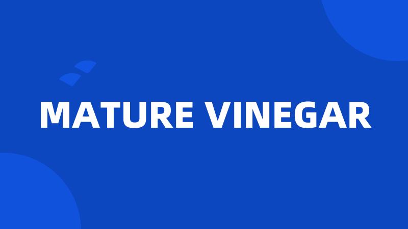 MATURE VINEGAR