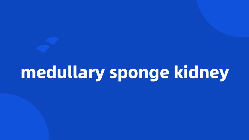 medullary sponge kidney