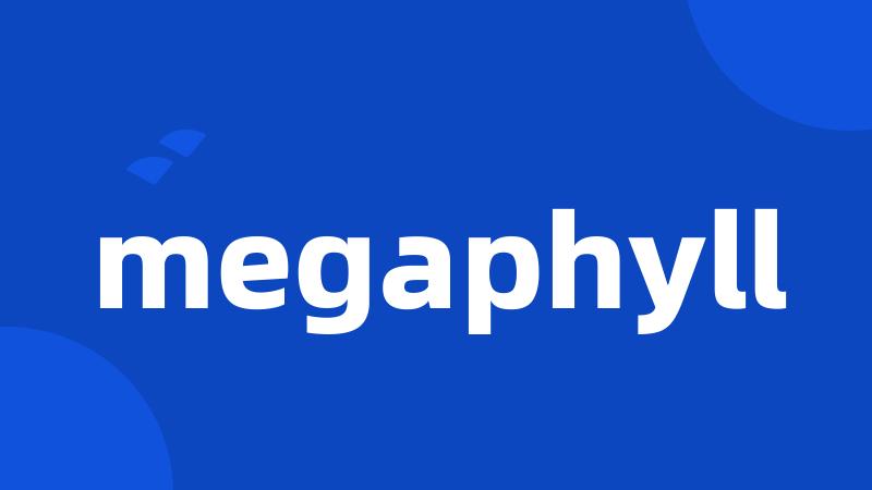 megaphyll