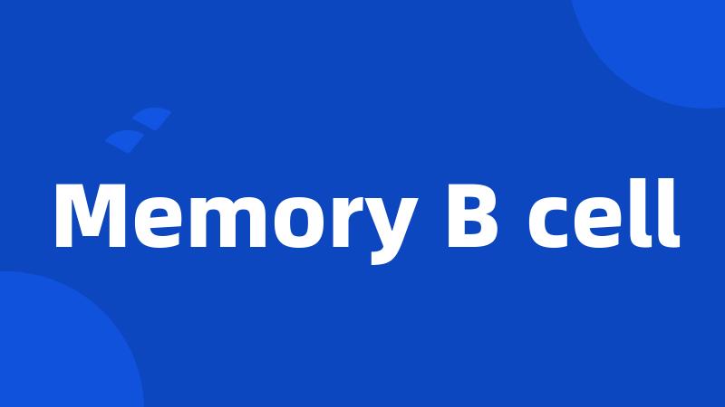 Memory B cell