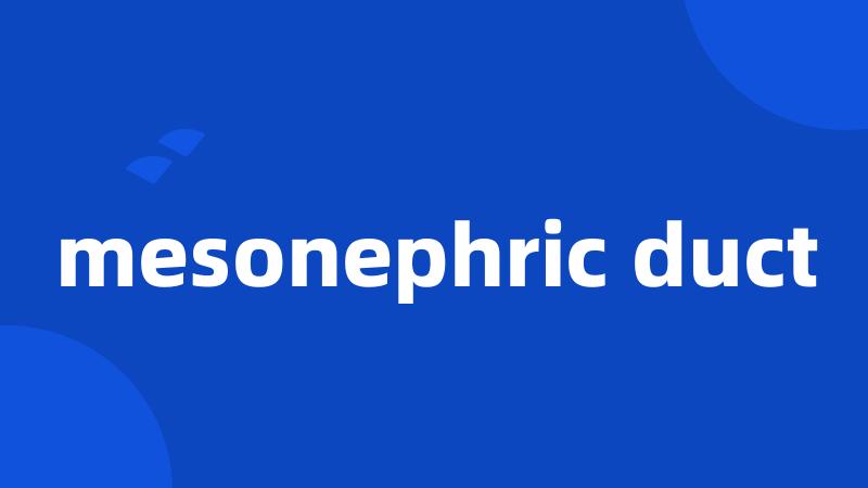 mesonephric duct