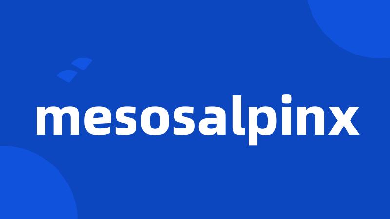 mesosalpinx