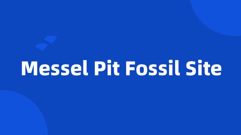 Messel Pit Fossil Site