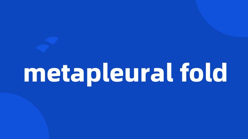 metapleural fold