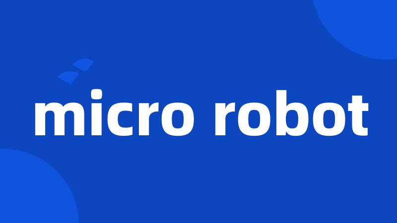 micro robot