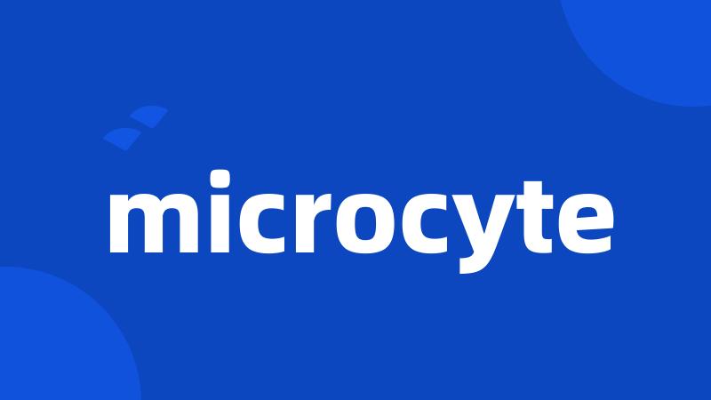 microcyte