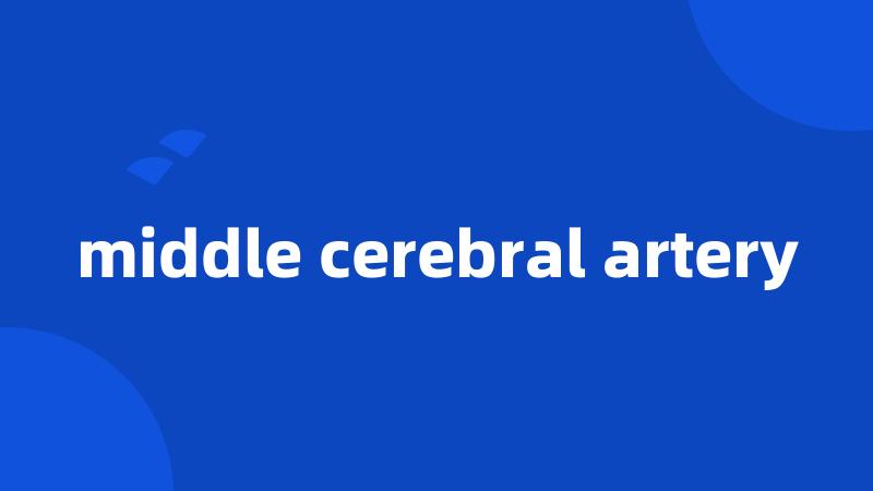 middle cerebral artery