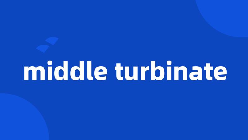 middle turbinate