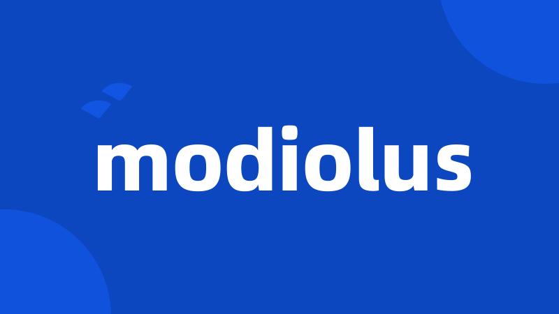 modiolus