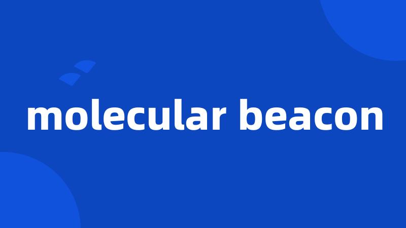 molecular beacon