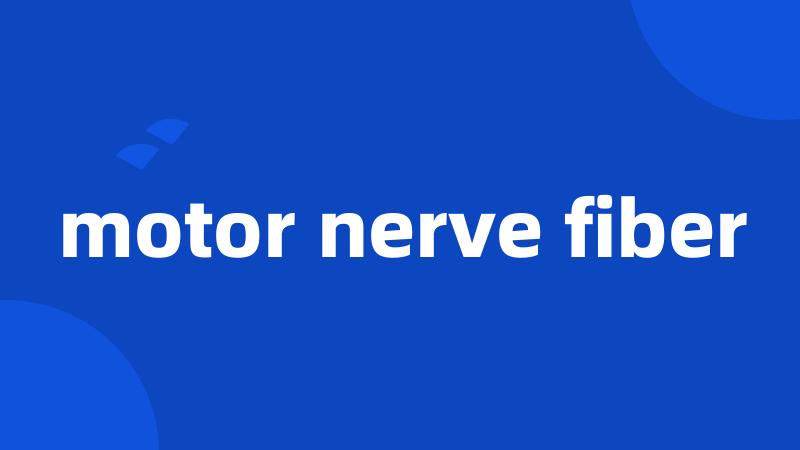 motor nerve fiber