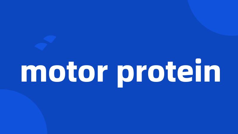 motor protein