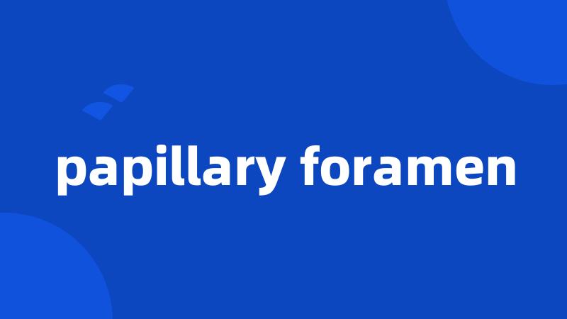 papillary foramen